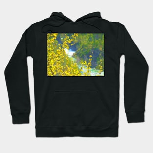 Norwegian Spring Hoodie